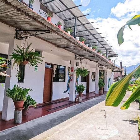 Shoffi'S House Backpackers Hotel ตาราโปโต ภายนอก รูปภาพ