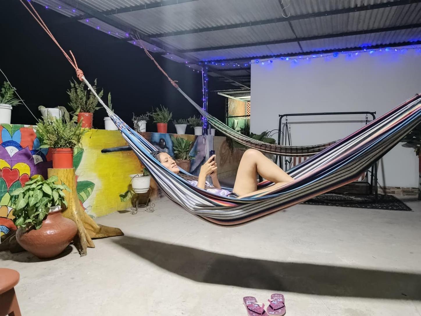 Shoffi'S House Backpackers Hotel ตาราโปโต ภายนอก รูปภาพ